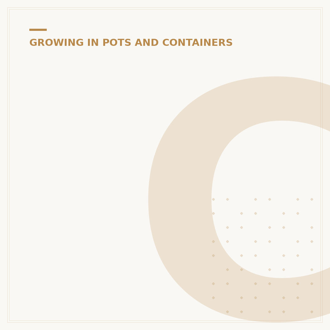 Climbing Plants for Containers