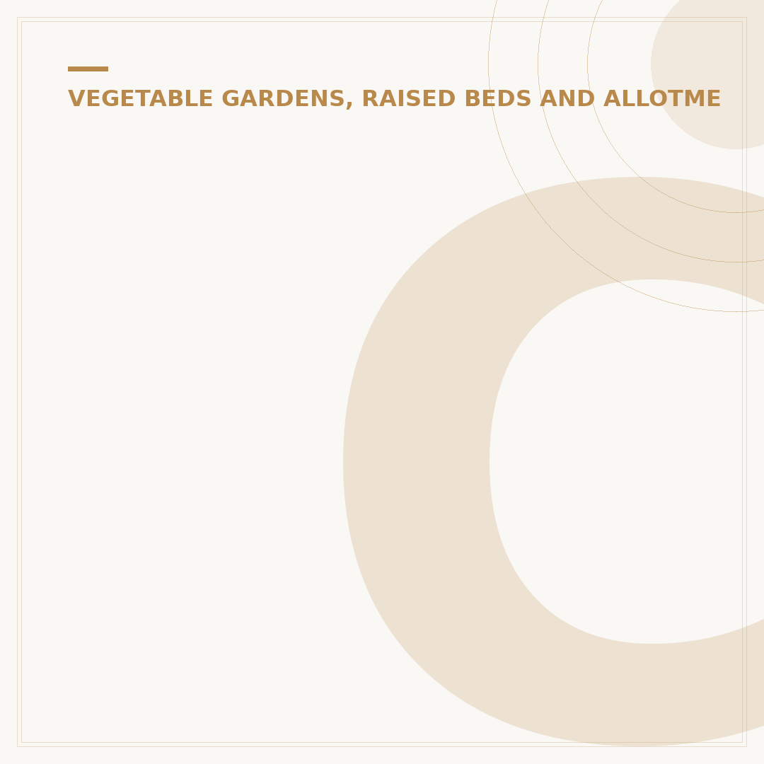 Companion Planting Veggies: Benefits and Combinations