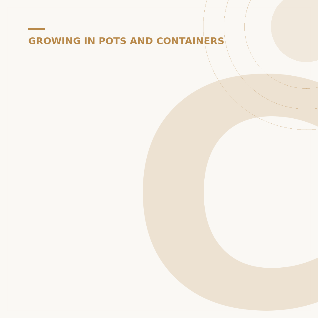 Container Garden Ideas for Small Spaces & Patios