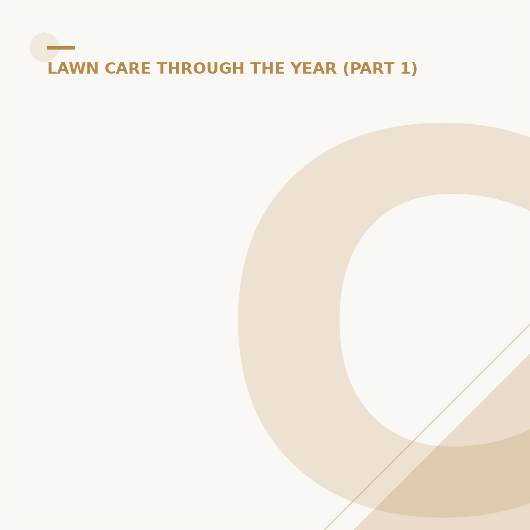 Cotton Lawn Fabric