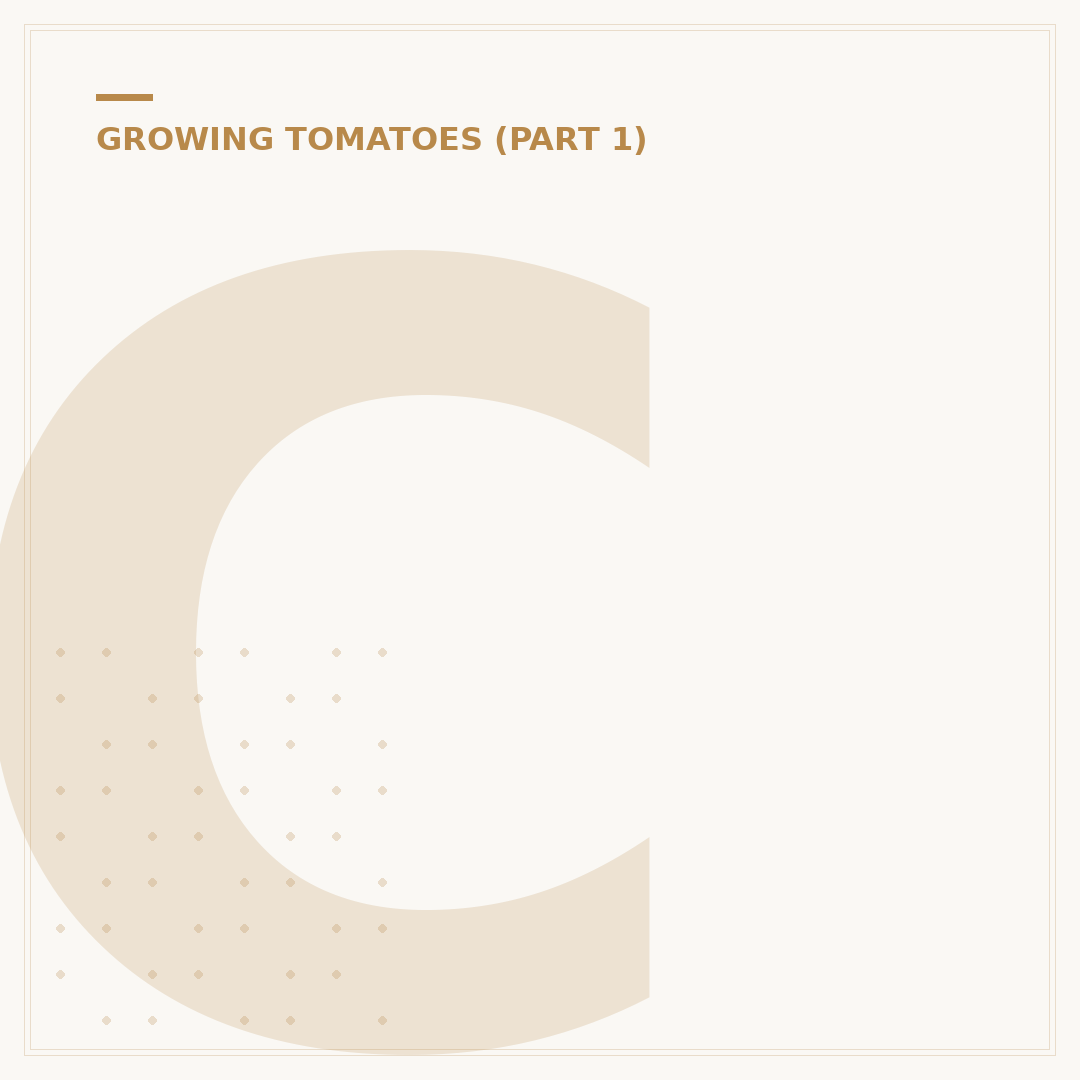 Cultivating Tomato Plants: From Seed to Ripe Fruit