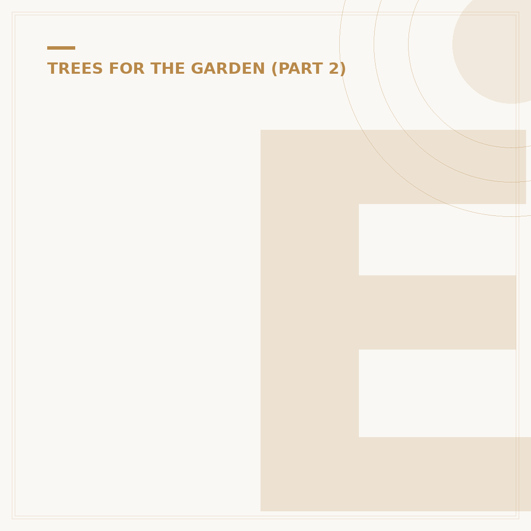 Exploring Different Willow Tree Species for Your Garden