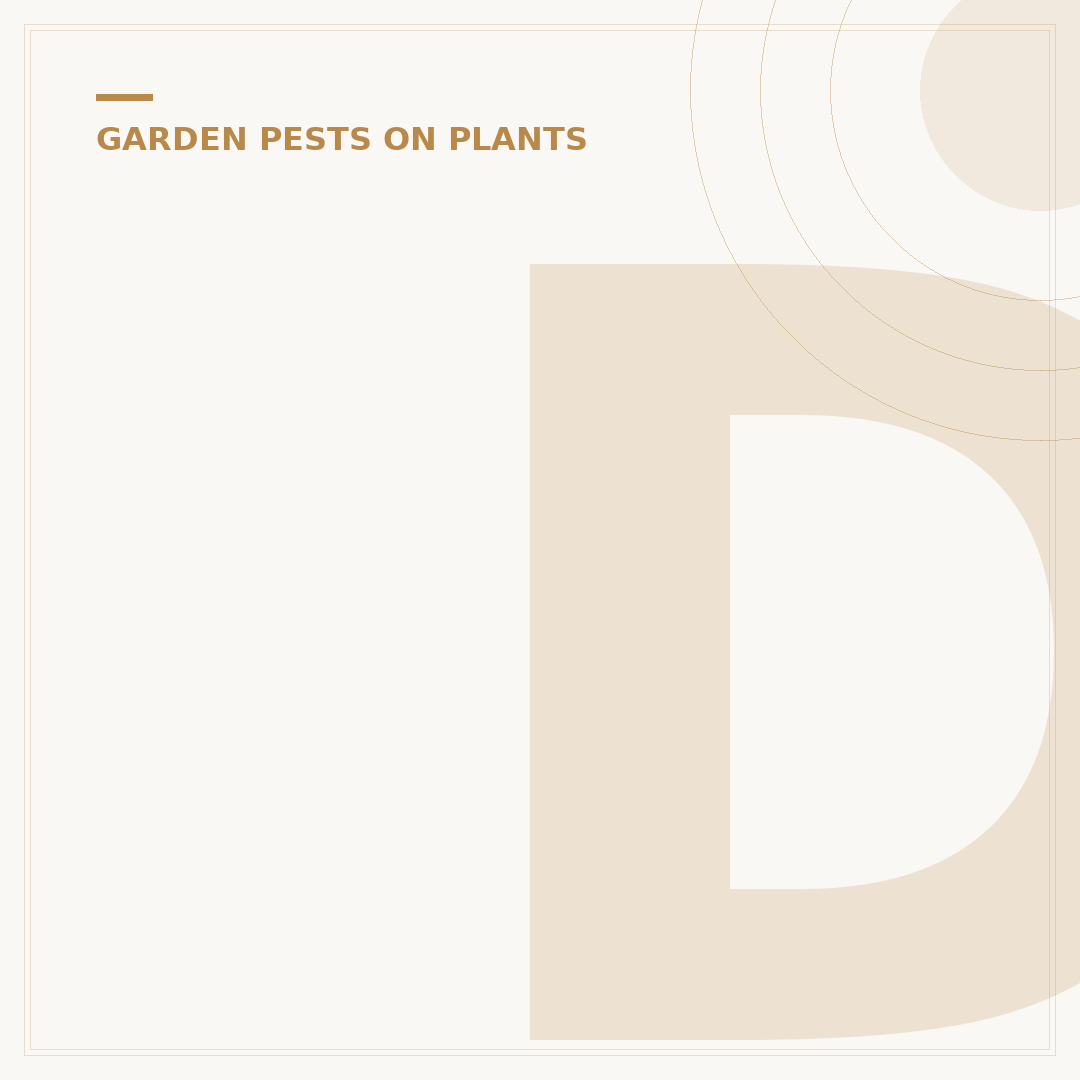Dish Soap for Garden Pests