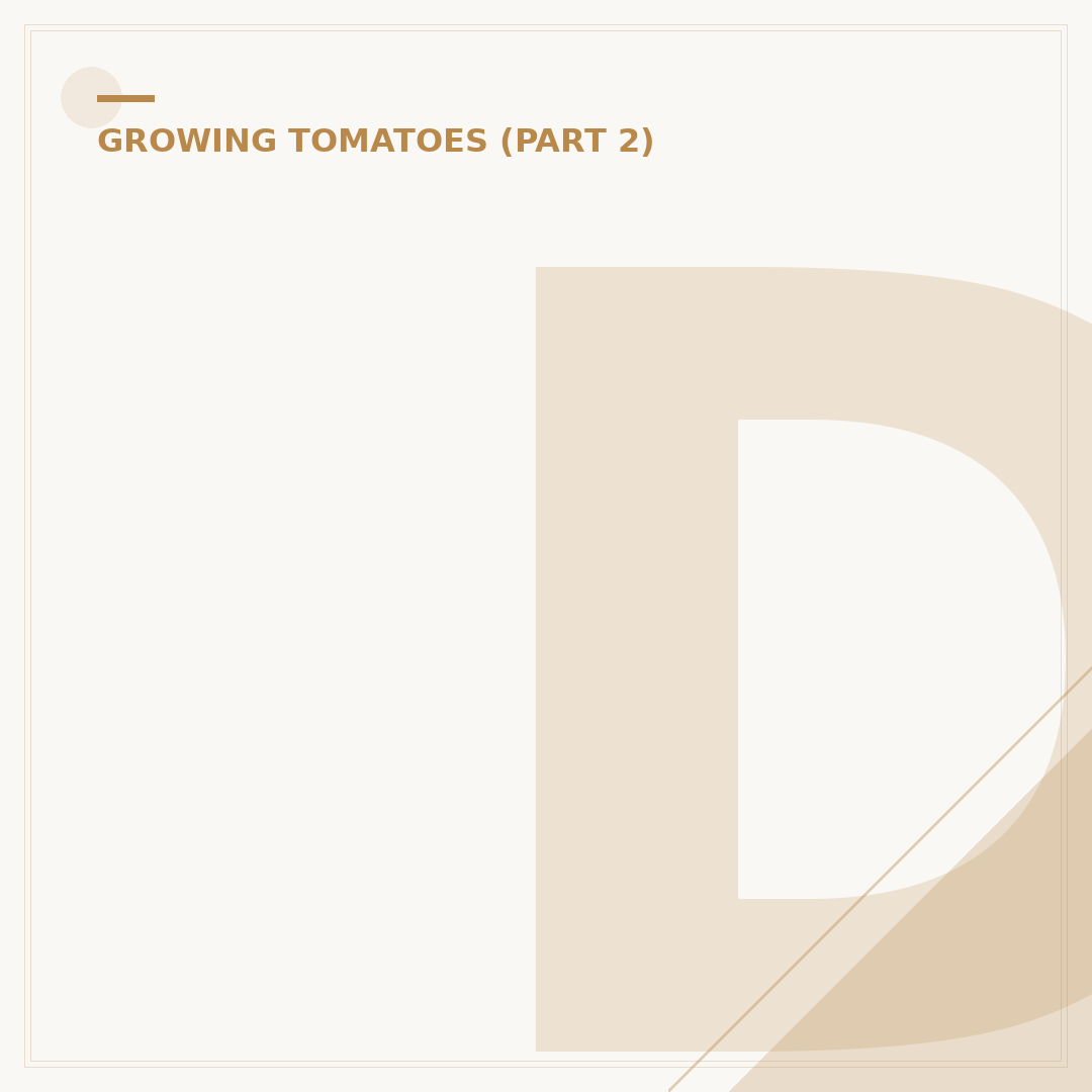 Do Tomato Plants Regrow? What to Expect