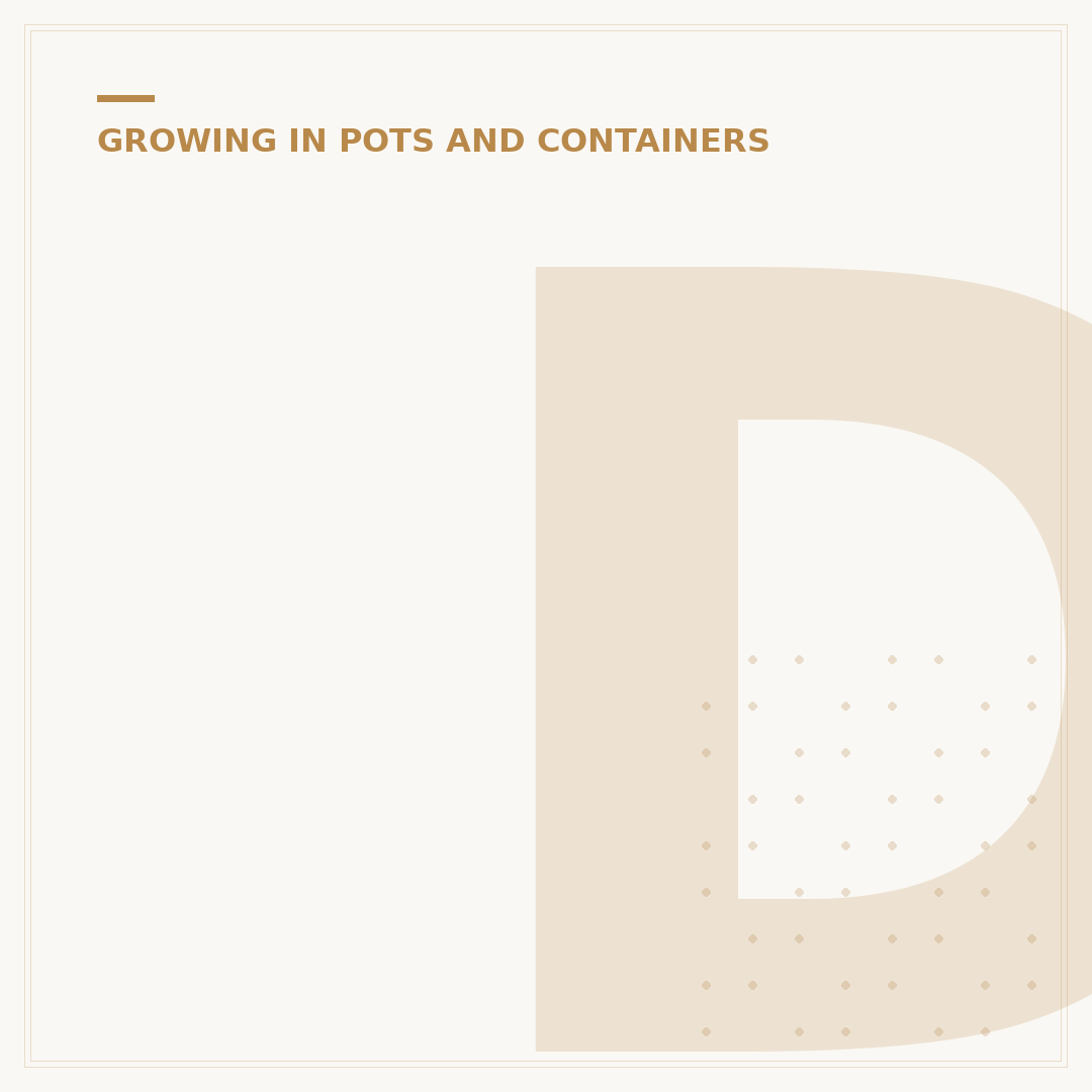 Drainage in Pots for Plants: A Gardener's Necessity