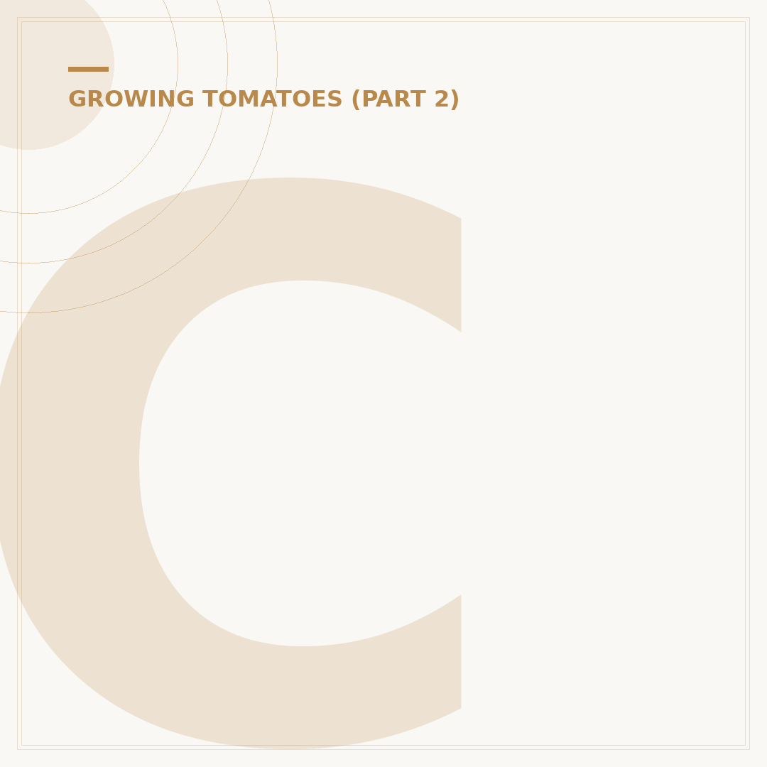 Can You Eat Tomato Leaves? Safety and Uses Explained