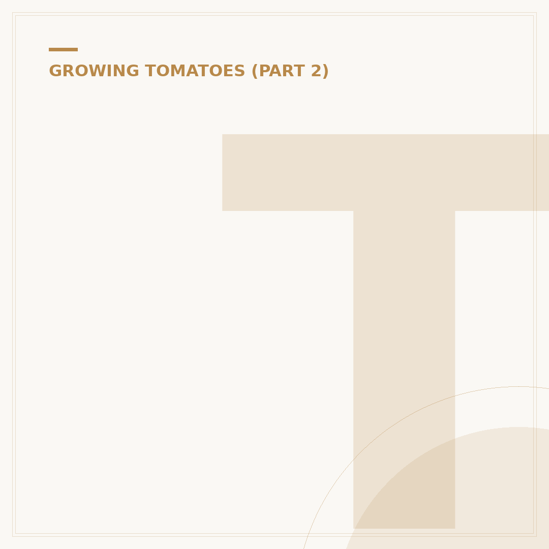 Tomatoes with Blight: Can You Still Eat Them?