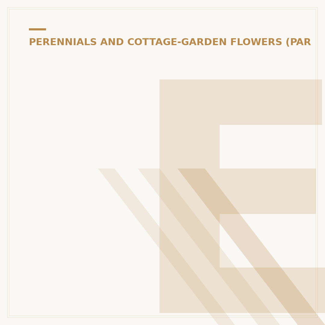Echinacea Plant Height: Varieties and Growing Factors