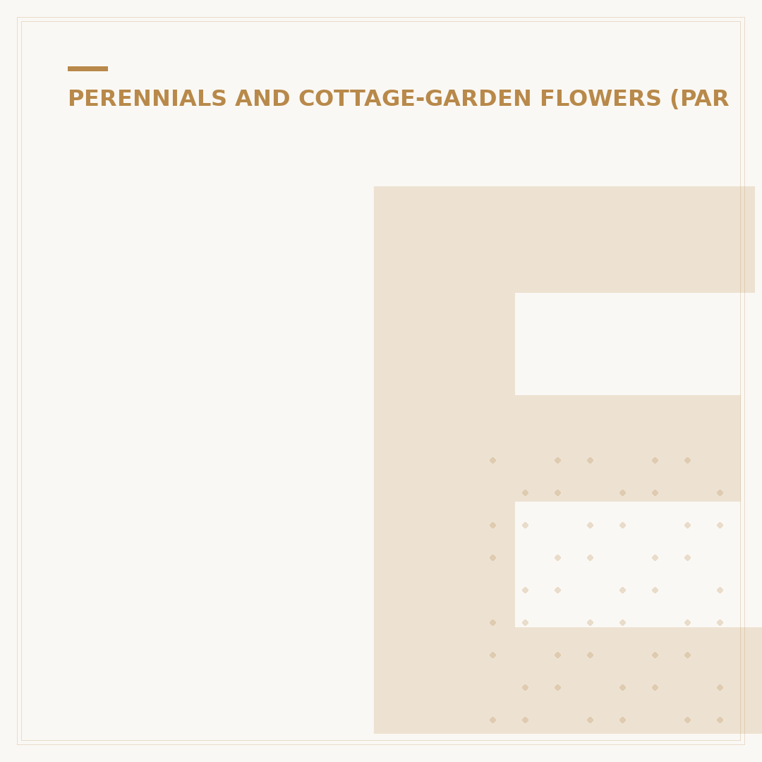 Erigeron Karvinskianus: Growing Mexican Fleabane