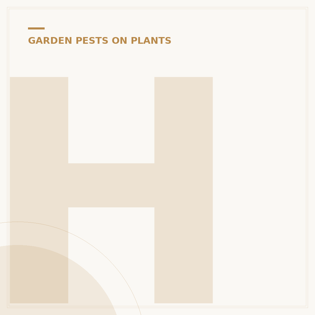 How to Exterminate Spider Mites from Your Plants