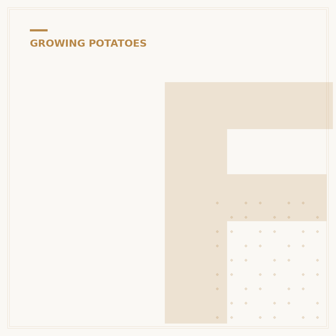 Fertilizer for Irish Potatoes