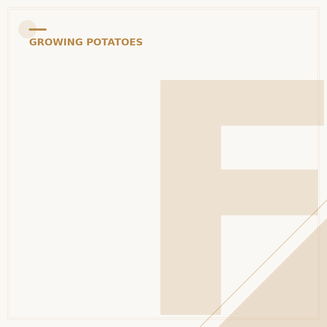 Fertilizer for Potatoes