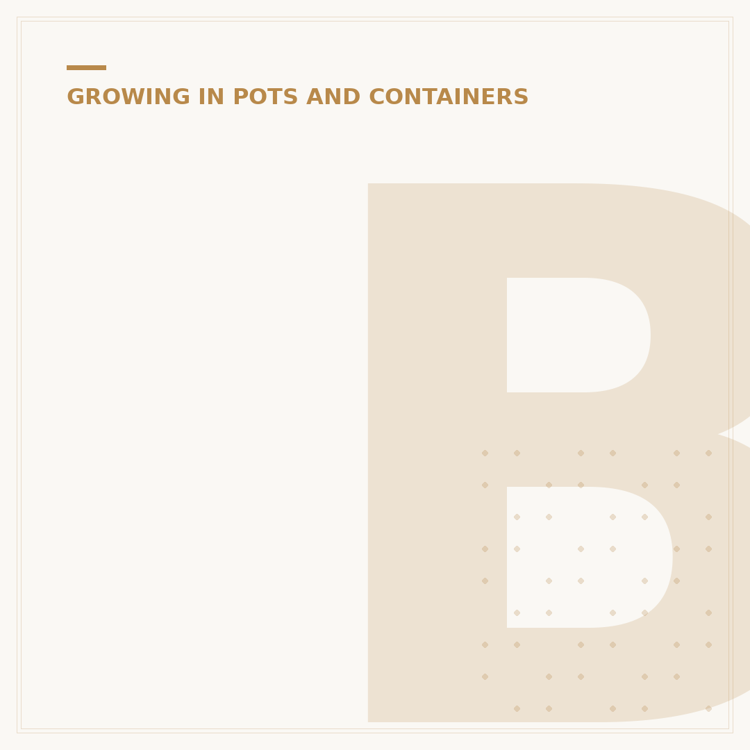 Best Flowering Plants for Containers