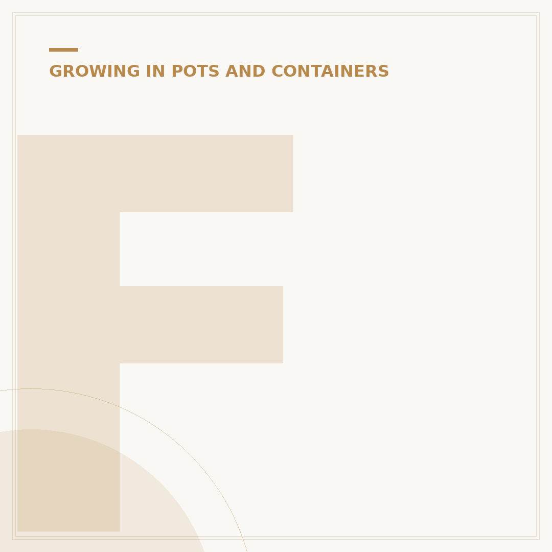 Front Door Pots and Plants: Transform Your Entrance