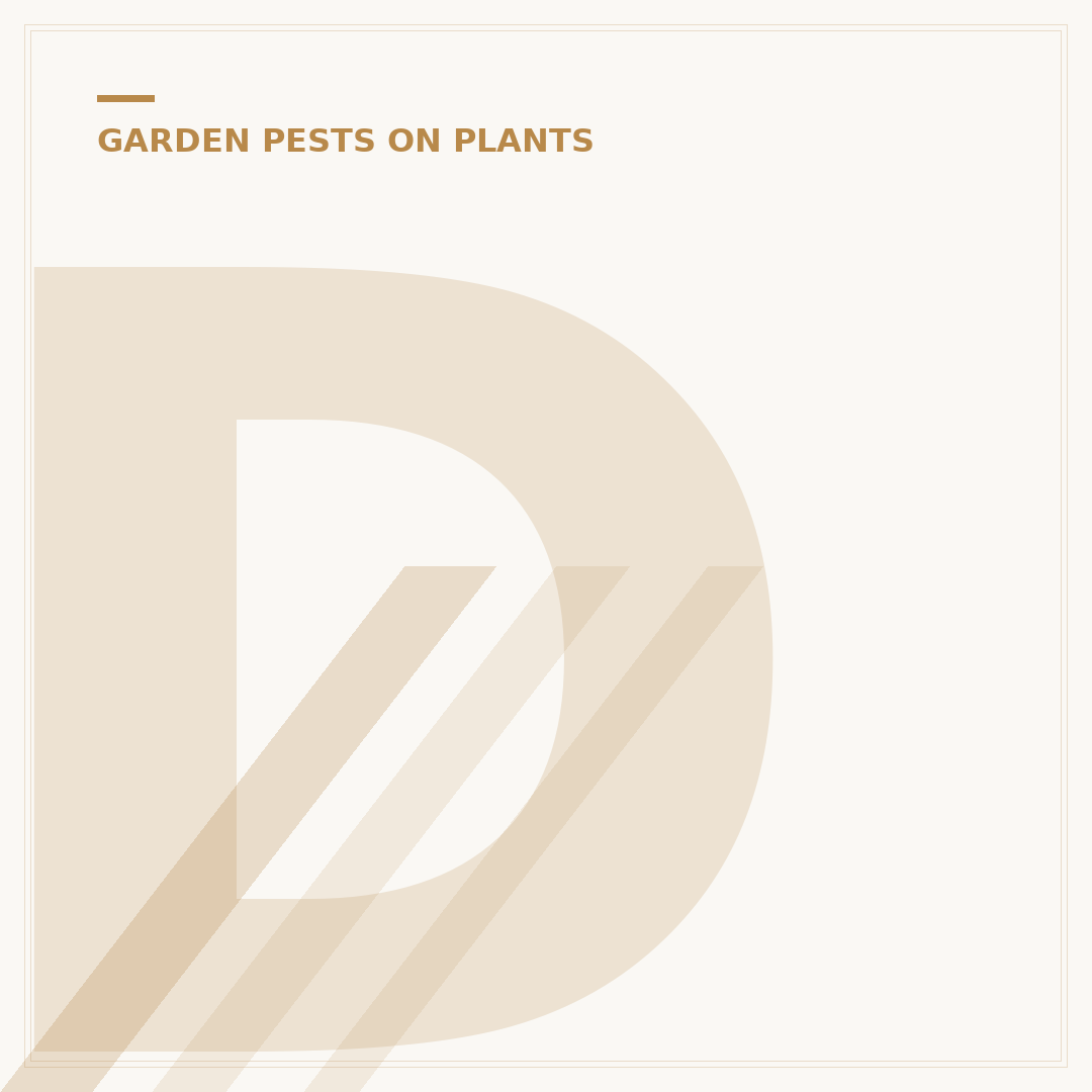 Do Fungus Gnats Bite Humans? The Real Answer