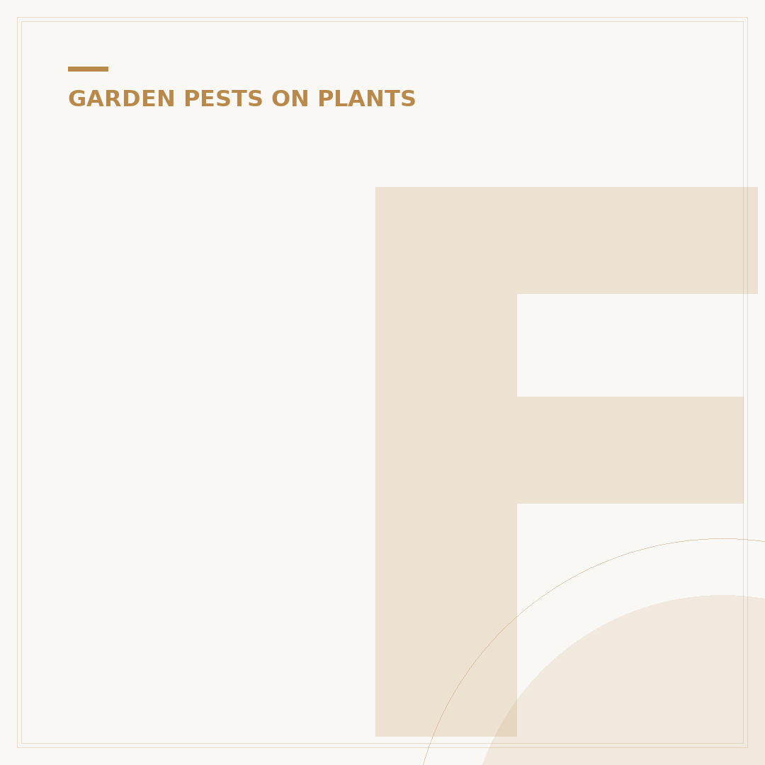 Fungus Gnats: Hydrogen Peroxide Treatment