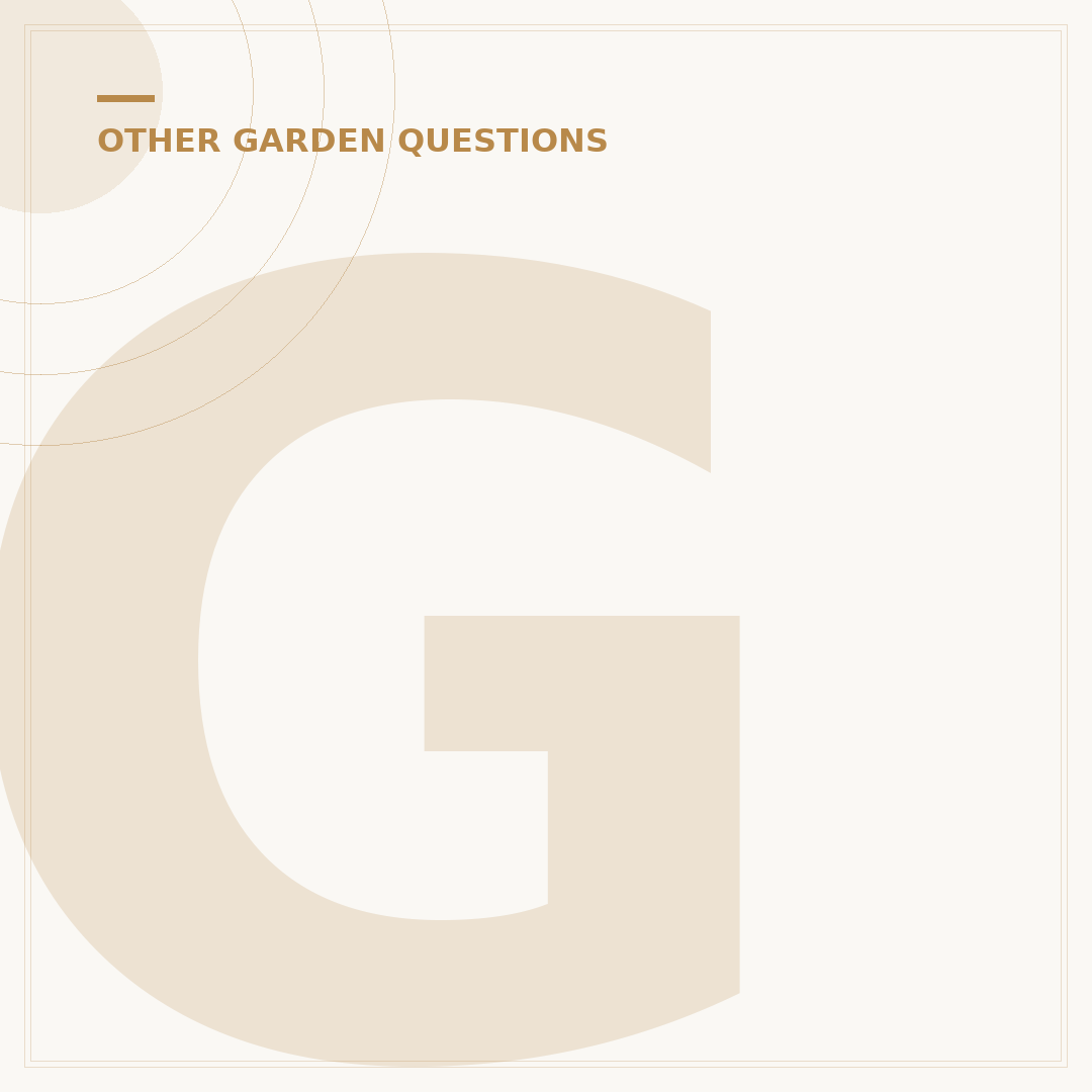 Garden Cleaning Tools: Choosing the Right Gear