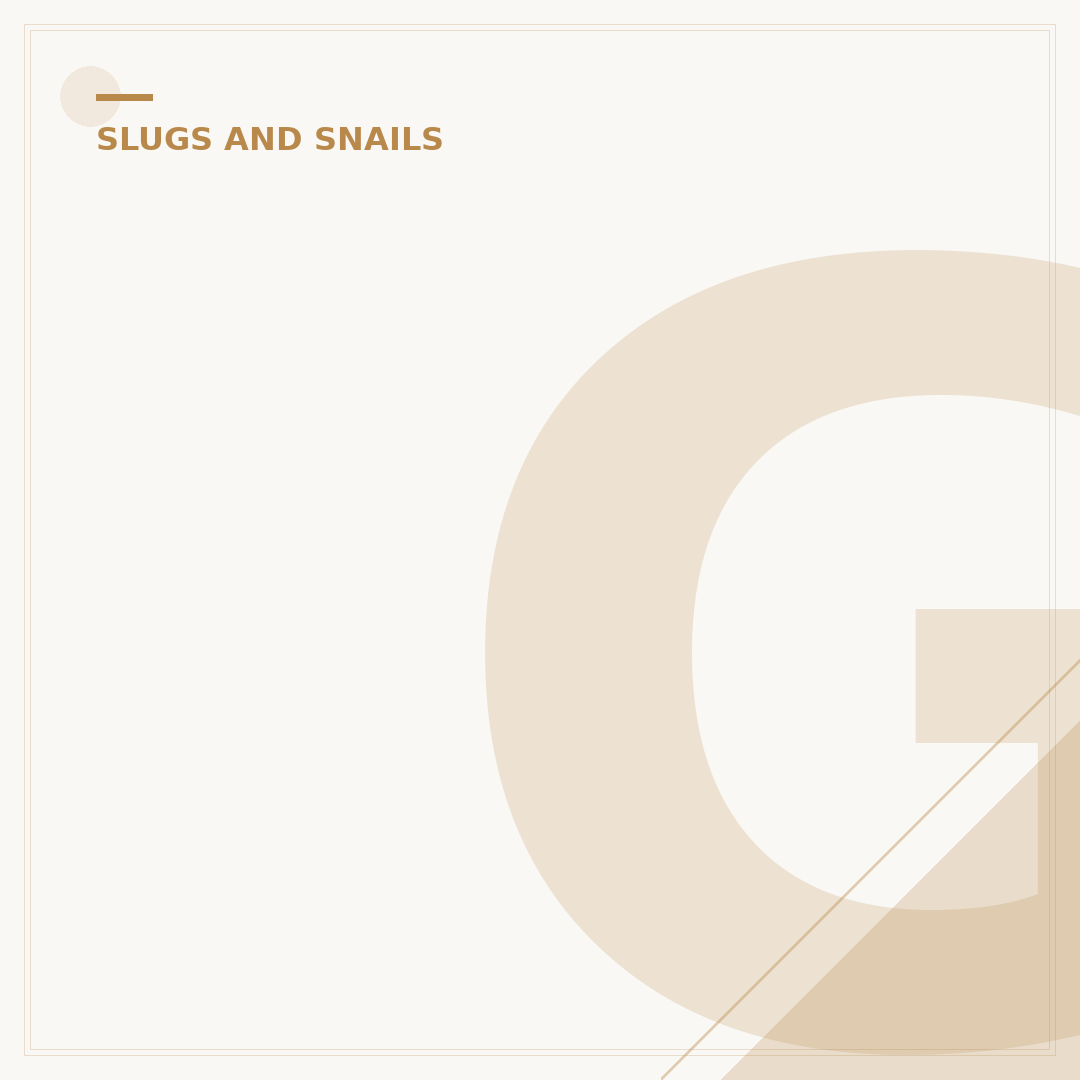 Garden Snails: Understanding and Managing Them