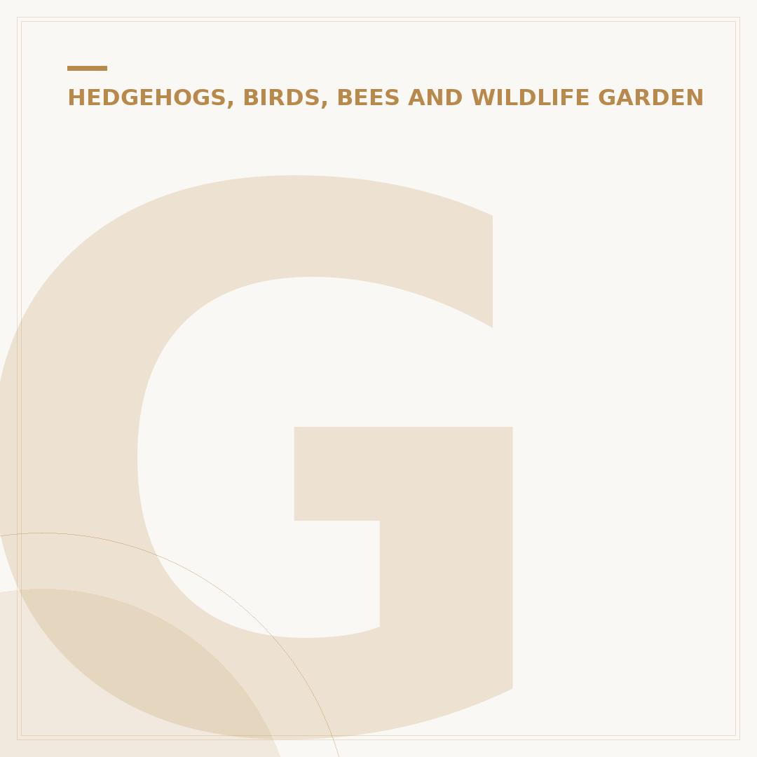 Gardman Bird Feeder Options for Your Garden Birds