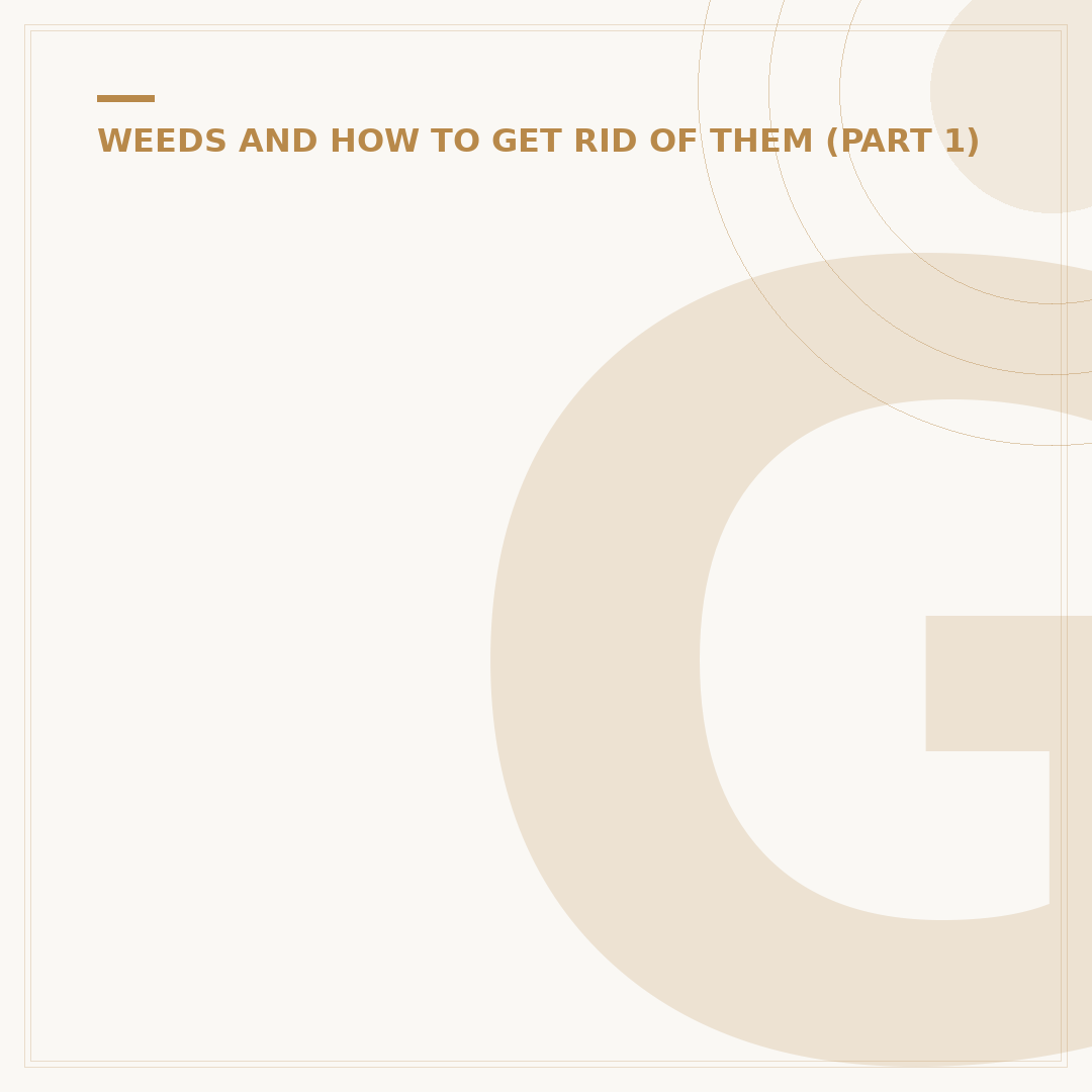 Glyphosate Weed Killer: What You Need to Know