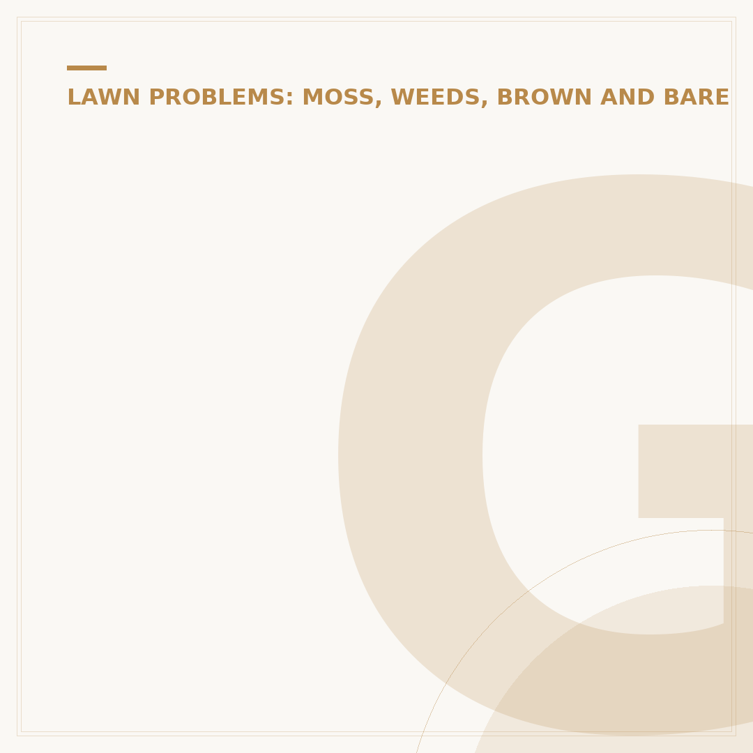 Grass Lawn Removal Machines: Types and Uses