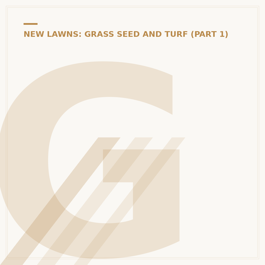 Grass Seed Burrowing in Dogs: Causes, Symptoms, and Care