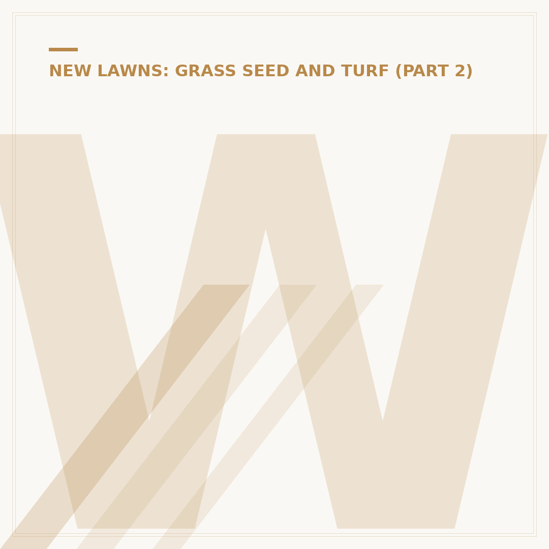 Will Grass Seed Grow in October UK?