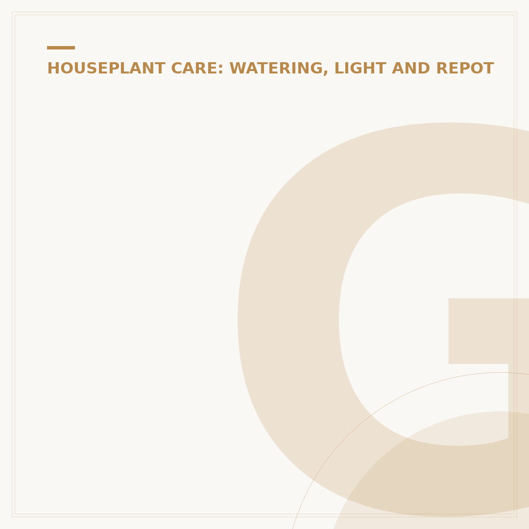 Grow Lights for Indoor Plants