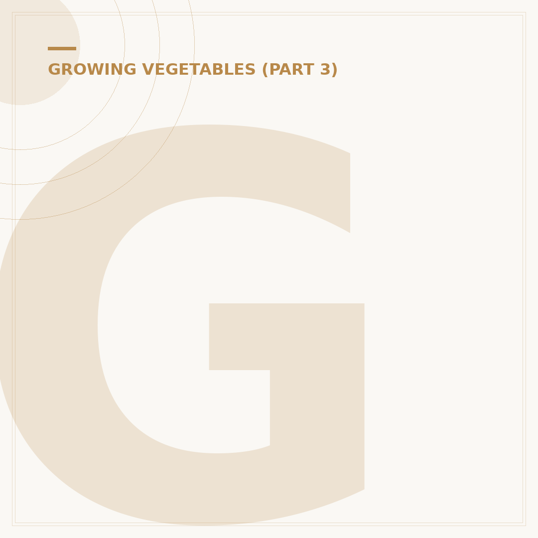 Grow Your Own Chilli Kit