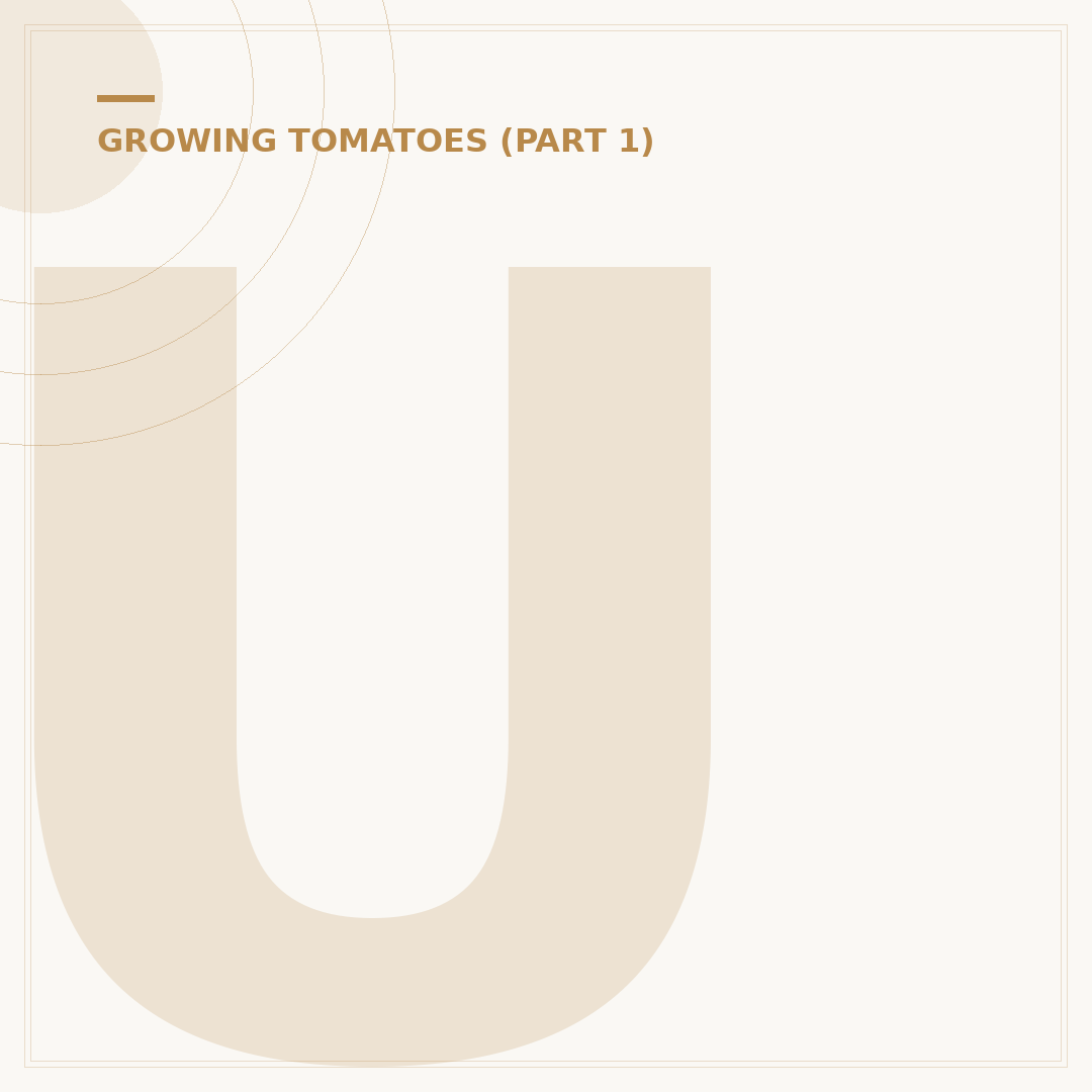 Upside Down Tomato Plants: How to Grow Them Successfully