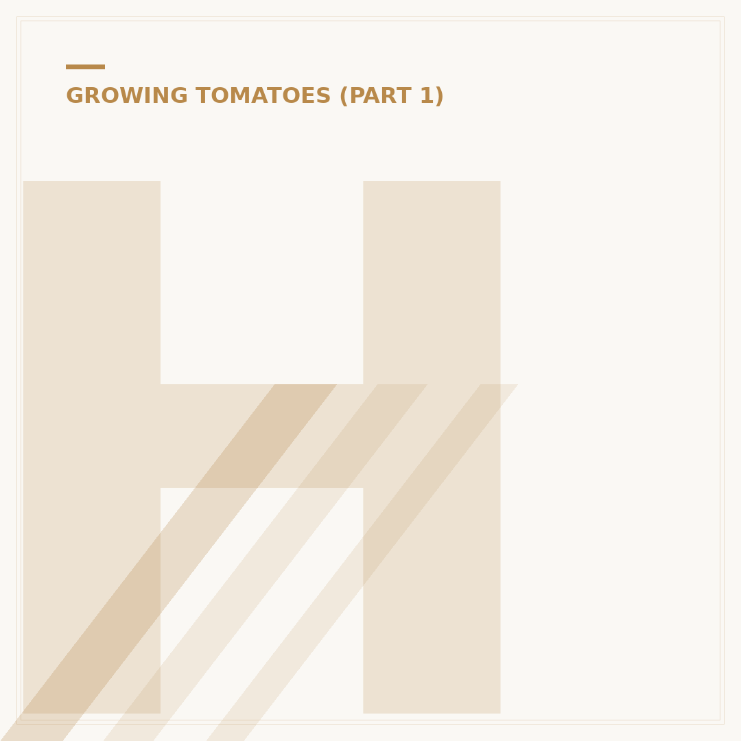 How to Grow Tomatoes