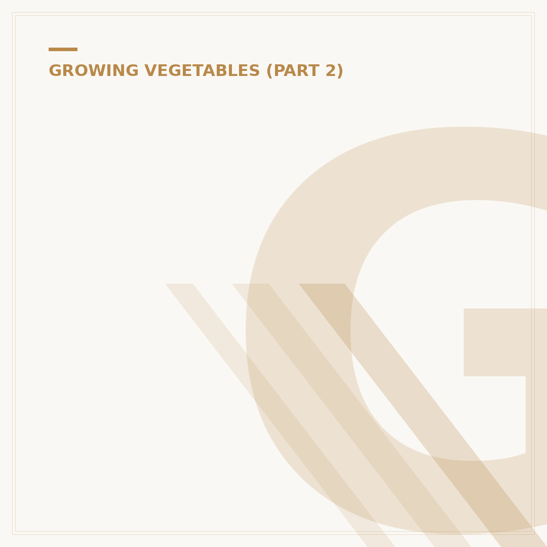 Growing Beetroot from Seed