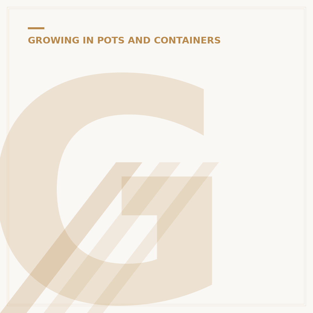 Growing Beets in Pots: Container Cultivation Tips