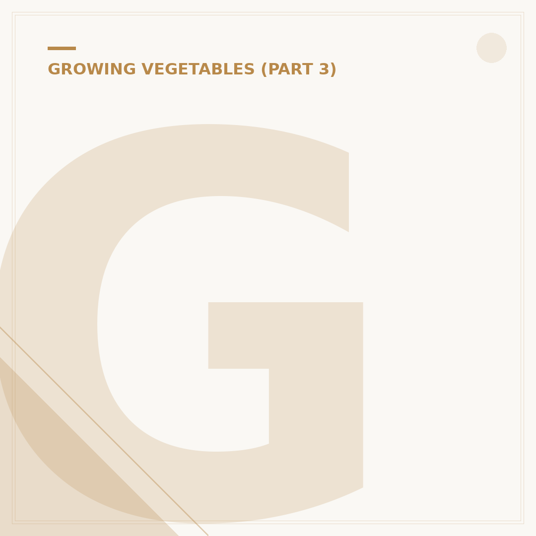 Growing Cabbage From Seed: Cultivating Your Crop