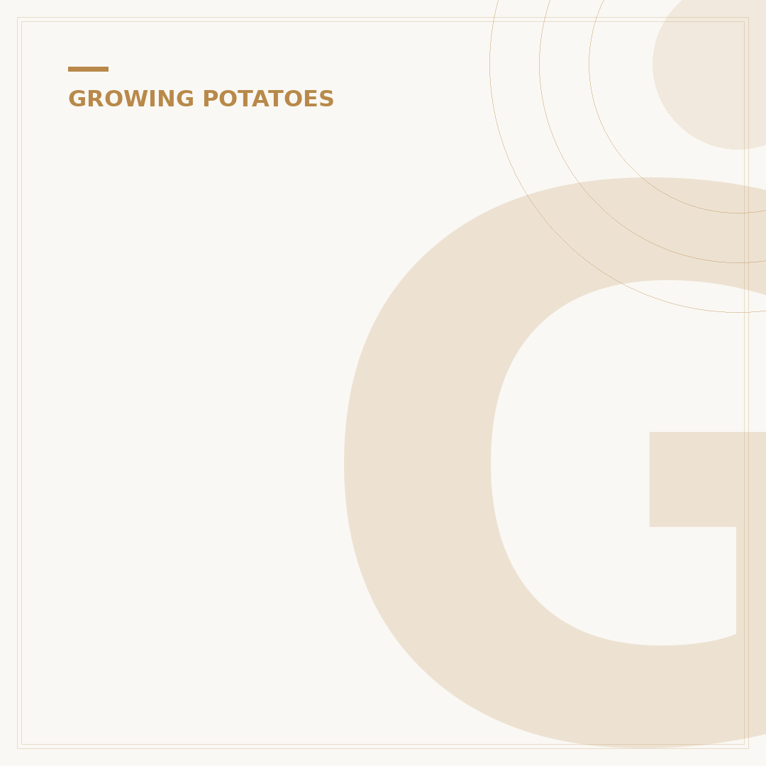 Growing New Potatoes