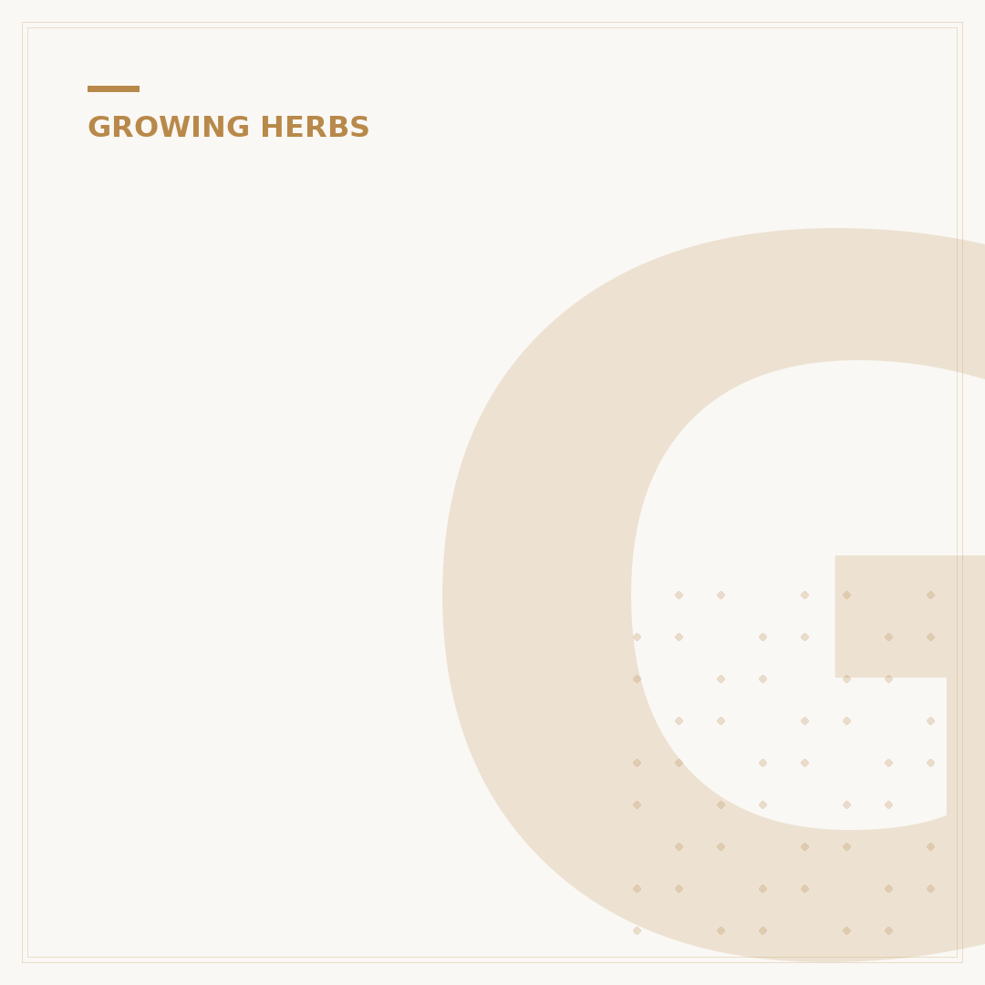 Growing Parsley From Seed: A Gardener's Introduction