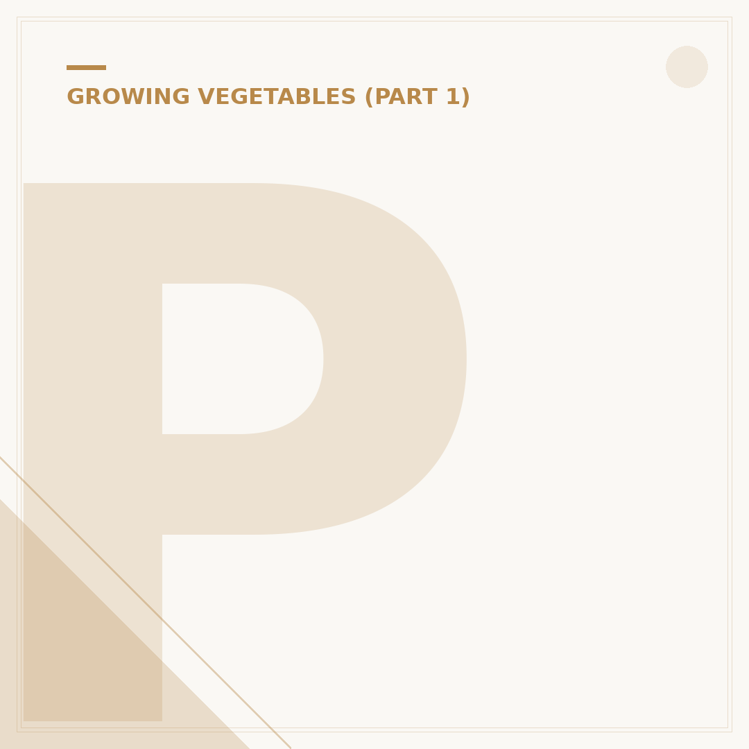 Pumpkin Growing Stages: From Seed to Harvest
