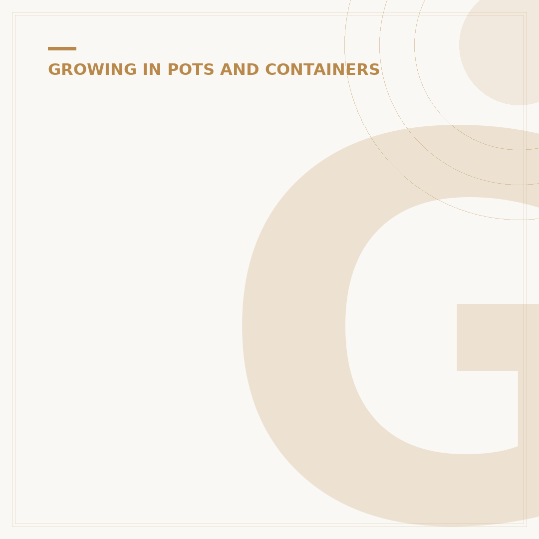 Growing Veg in Pots