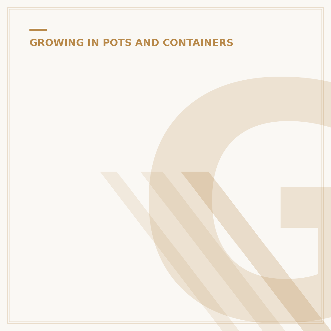 Growing Vegetables in Pots and Containers