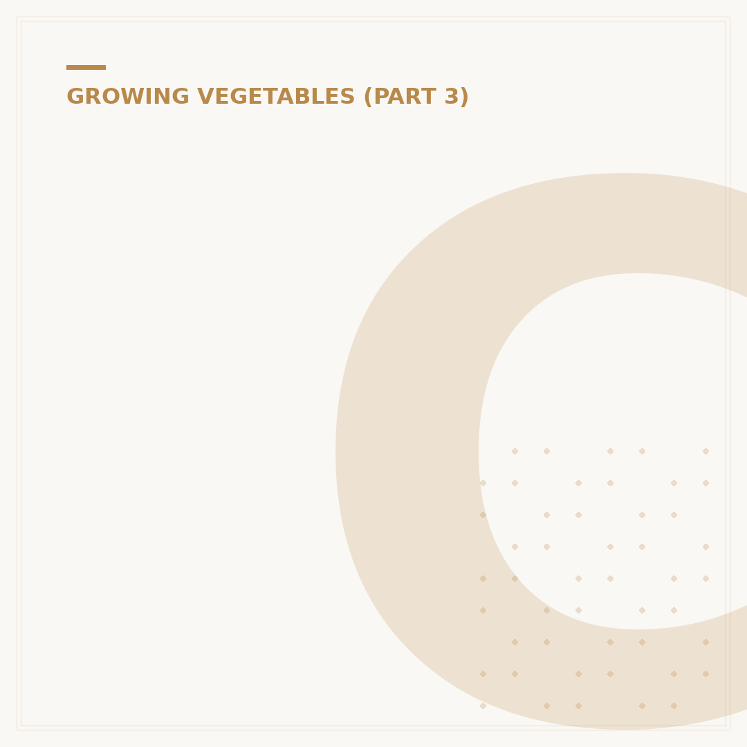 Can Guinea Pigs Eat White Cabbage Safely?