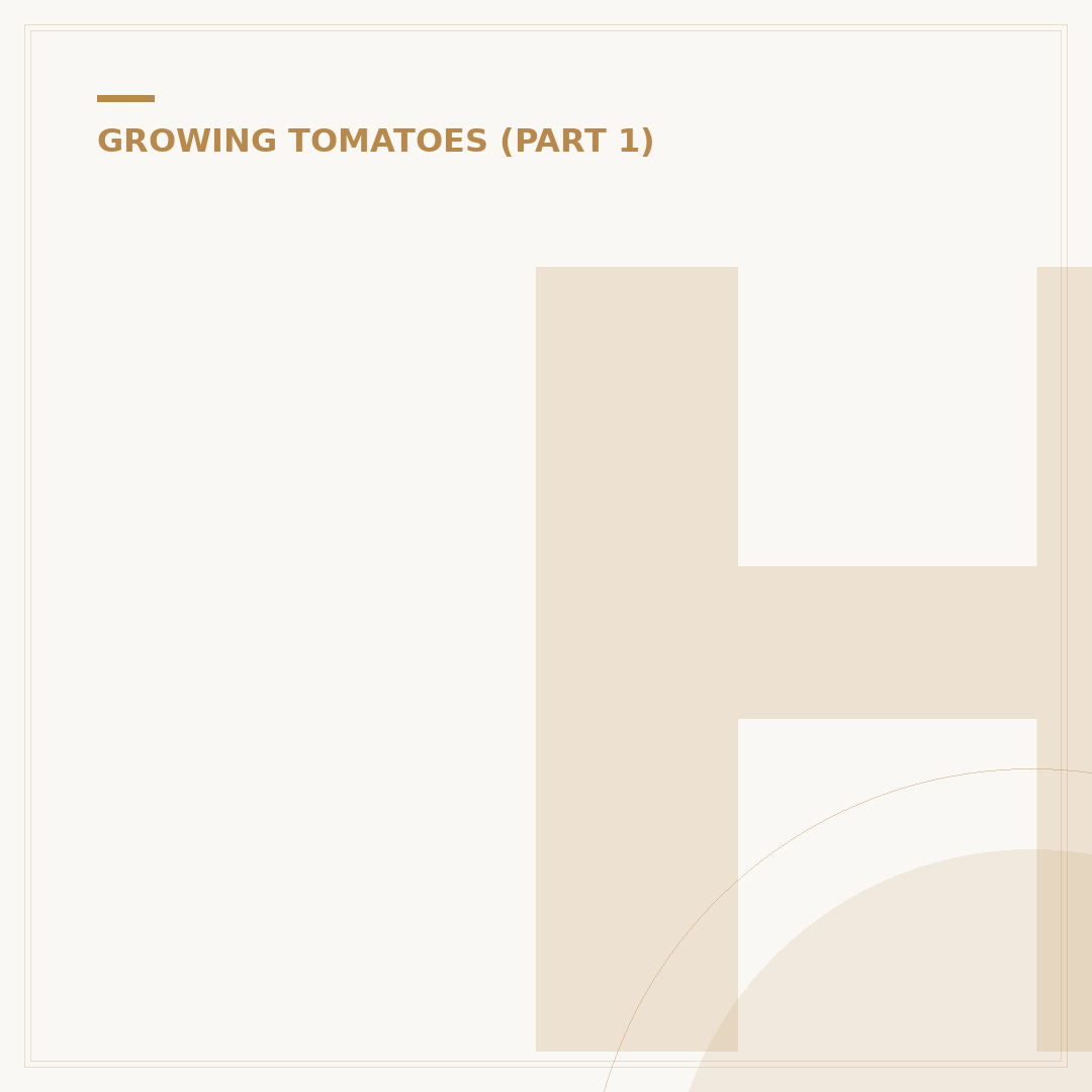 Hanging Basket Tomatoes: Varieties and Care