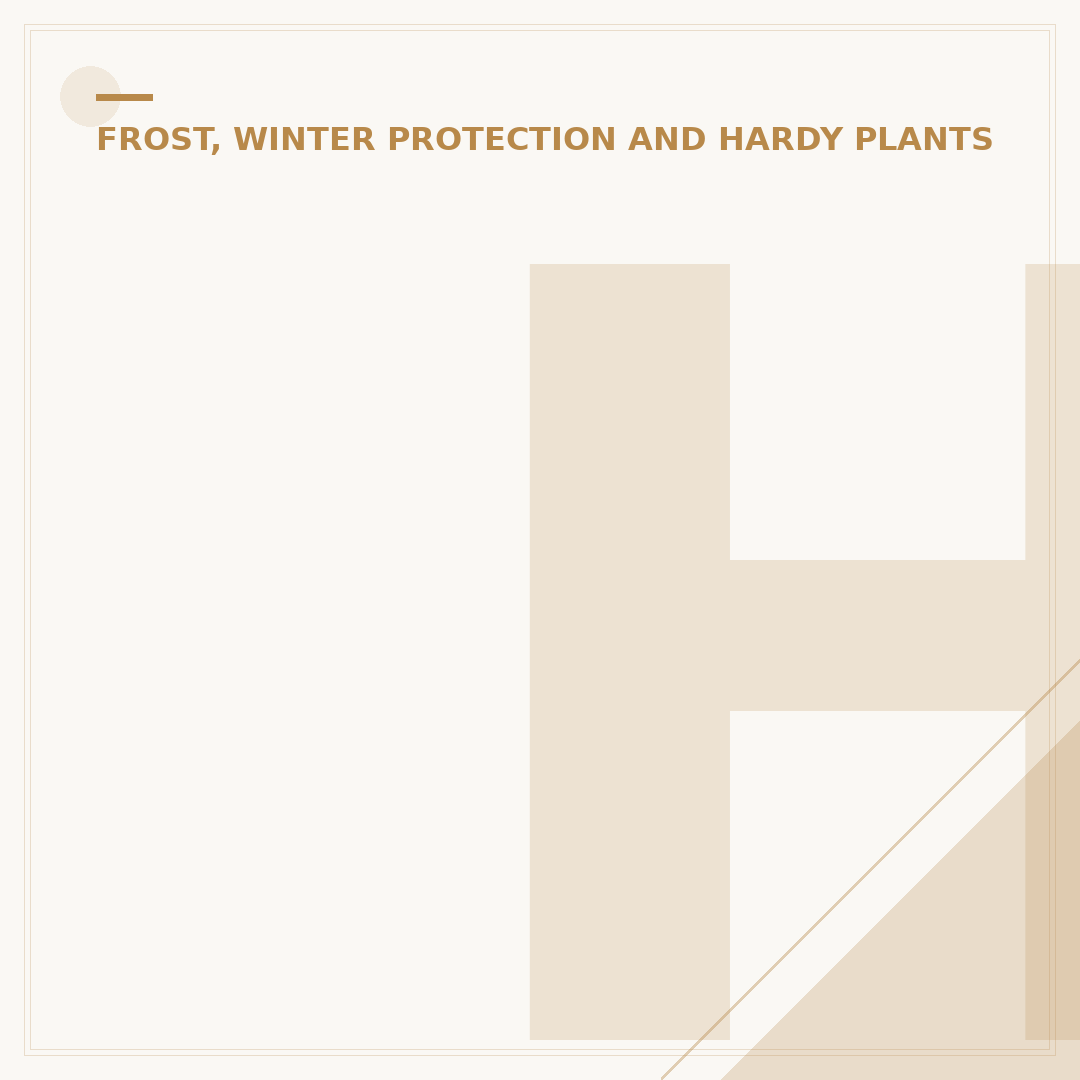 Hardy Plants for Pots: Resilient Container Choices