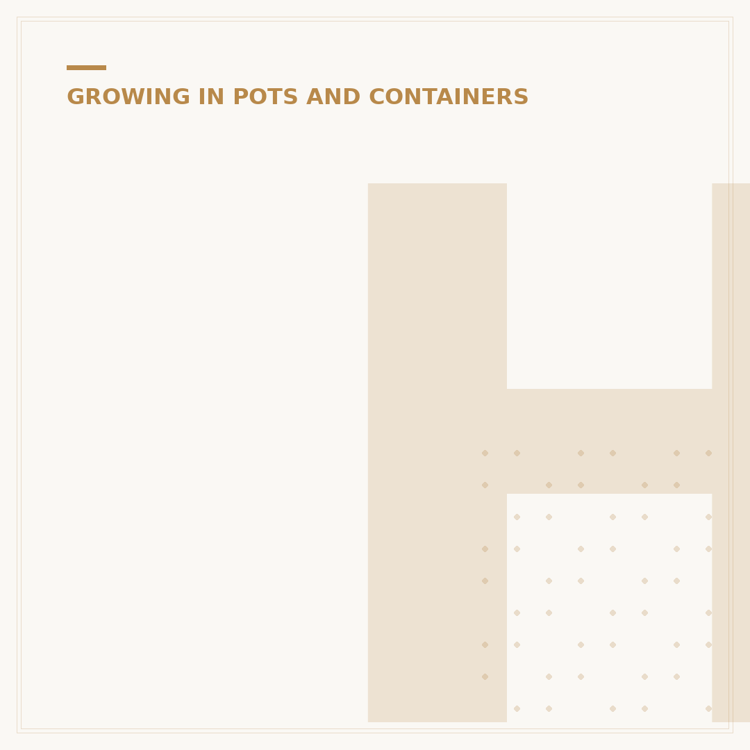 Herbs in Pots