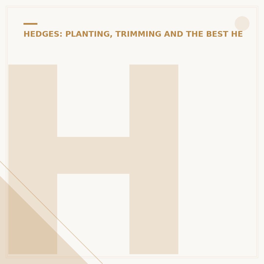 Hinton in the Hedges: What To See & Do