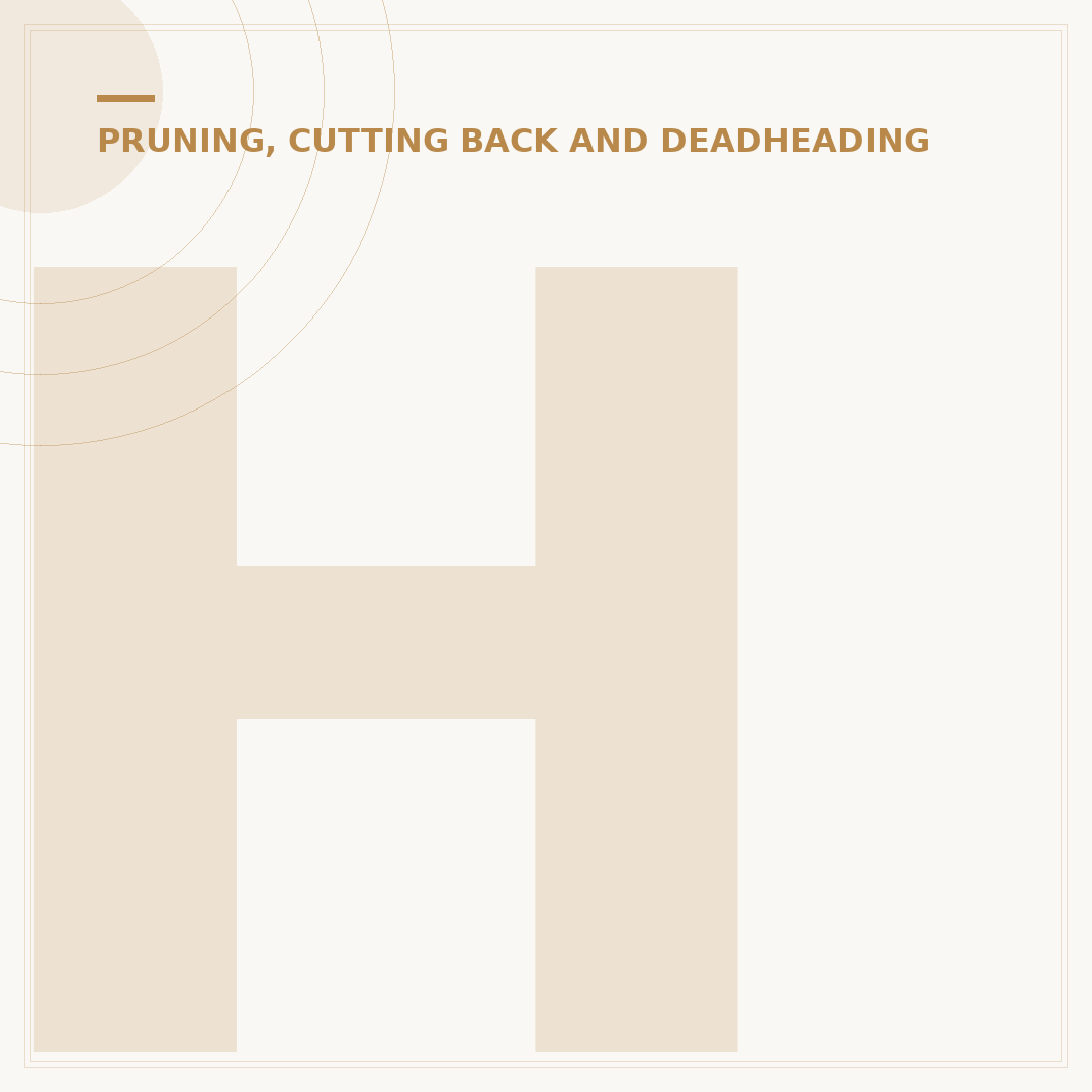 Hortensia Pruning: When and How to Prune Hydrangeas