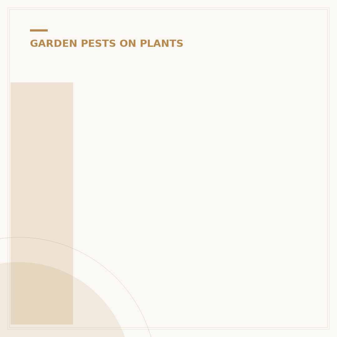 Identify and Treat Houseplant Pests