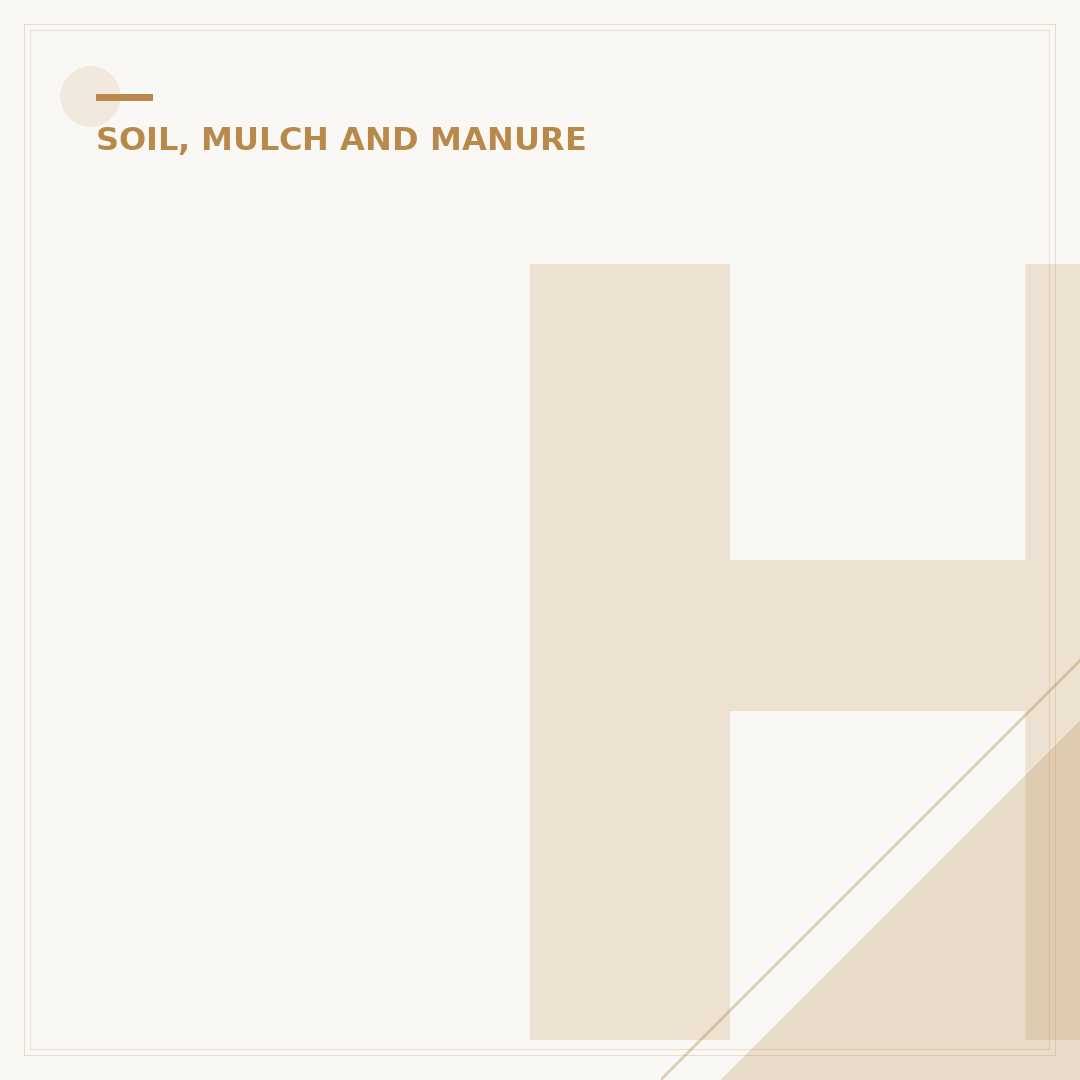 How Soil Is Created: The Natural Processes