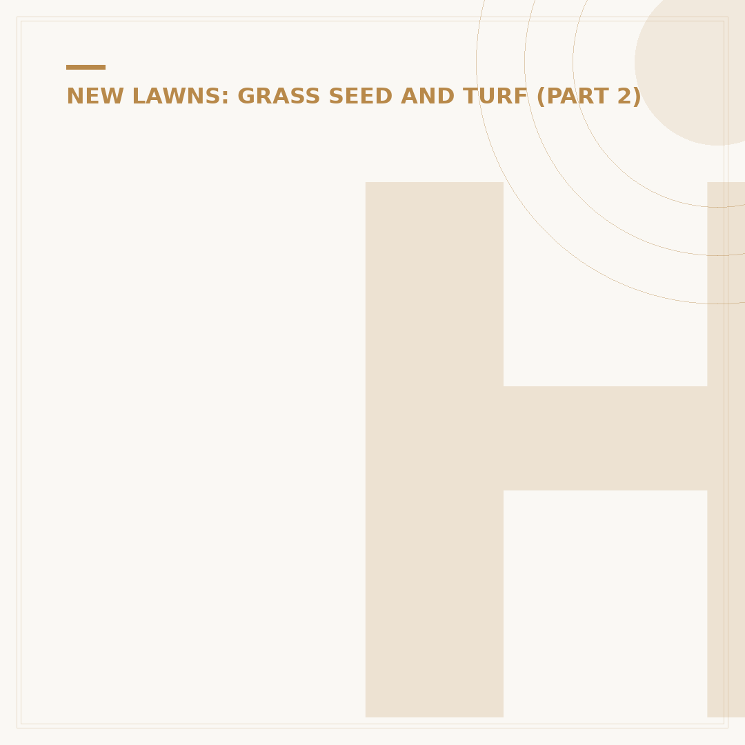 How to Install Grass Seed for a Healthy Lawn