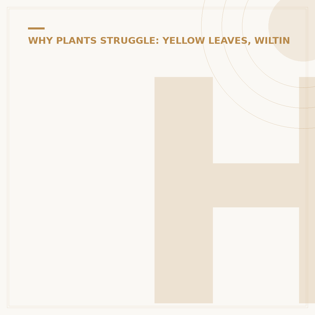How to Tell If a Plant is Dead: Key Signs