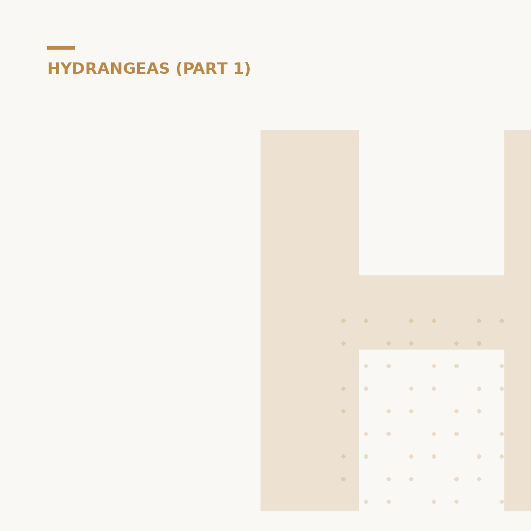 Hydrangea Little Lime: Compact Blooms For Your Garden